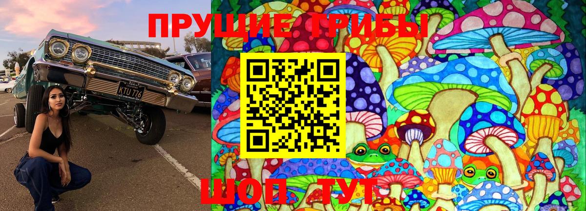 Краснодар  купить наркоту  Вход с VPN  Галлюциногенные грибы Psilocybe 
