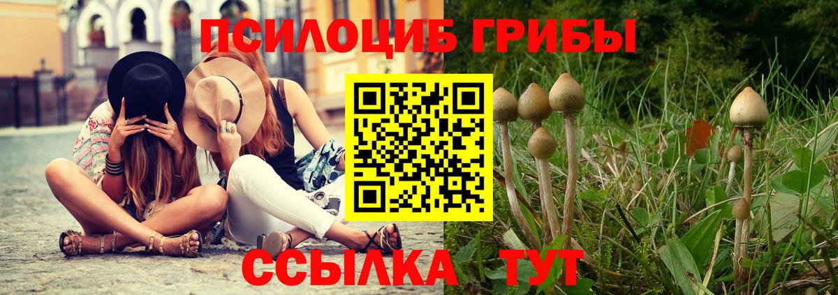 Псилоцибиновые грибы MAGIC MUSHROOMS Краснодар